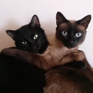 Meet your Posher, Michele